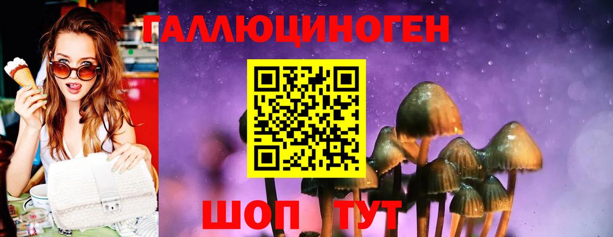 Псилоцибиновые грибы прущие грибы Партизанск
